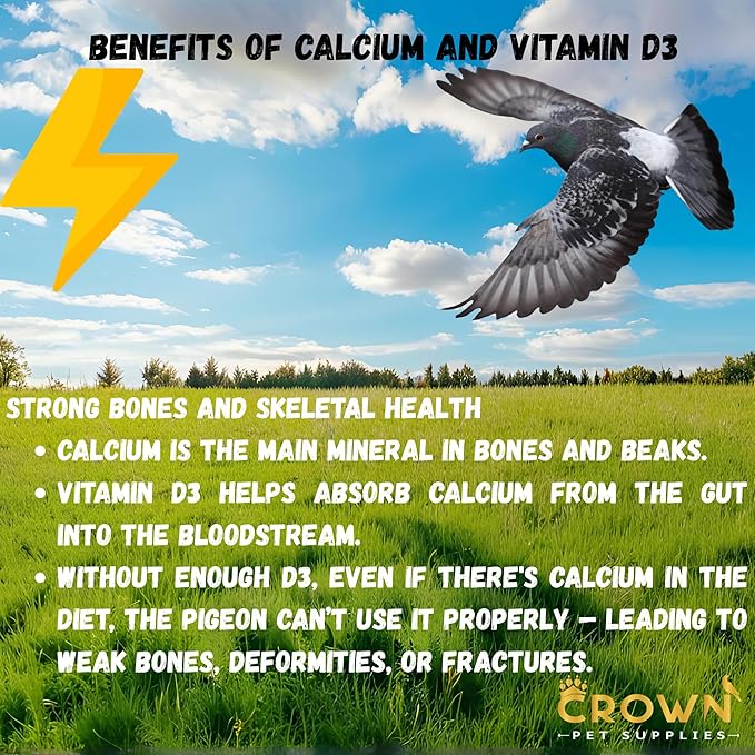 Calcium with Vitamin D3 Powder Supplement for Pigeons – Supports Strong Bones, Healthy Eggs, and Feather Development – Easy-to-Mix Formula for Racing, Breeding, and Young Birds 100G