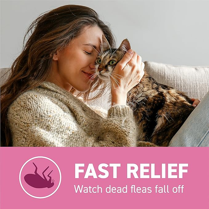 CAPSTAR Flea Treatment for Cats 2-25 lbs (12 Doses) + NEXTSTAR Flea and Tick Prevention for Cats Over 3.5 lbs (6 Doses) Bundle