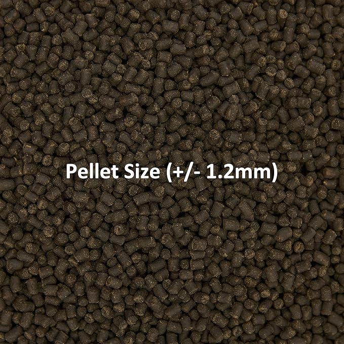Ocean Nutrition Formula Two Pellets - Fish Food for Herbivorous & Omnivorous Marine Tropical Fish, High Protein(40%) - 3.5 oz (100 g) Small Pellets