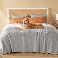 Bedsure Waterproof Blanket for Bed - Sherpa Fleece Waterproof Dog Blankets for Large Dogs, Pet Blankets for Bed/Couch/Dog Crate, Soft Plush Reversible Furniture Protector, Queen, 90"x86", Light Grey