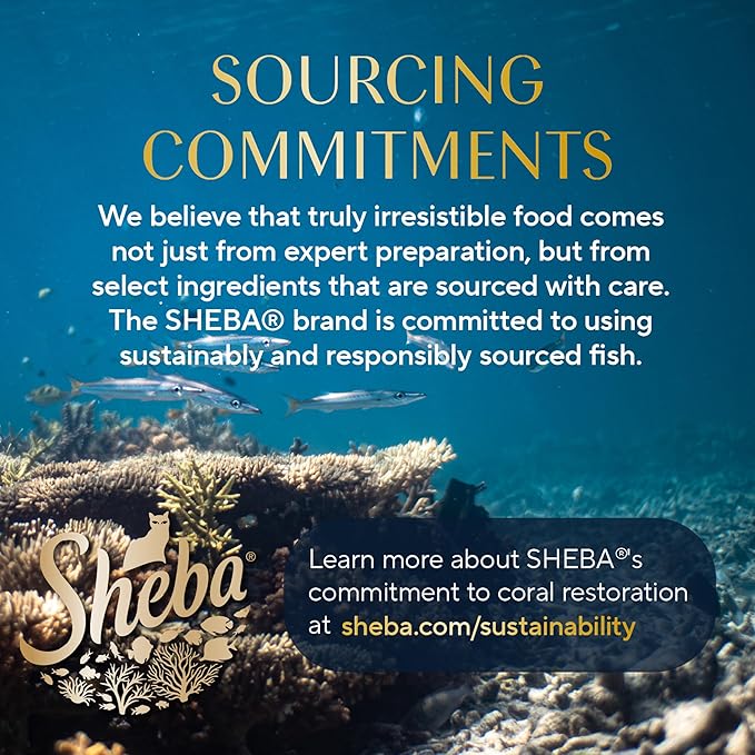Sheba Perfect Portions Wet Cat Food Cuts in Gravy, Cat Food Wet Recipe, with Sustainable Tuna, Roasted Chicken Entree, 2.6 oz. Twin-Pack Trays (6 Count, 12 Servings) (Pack of 2)