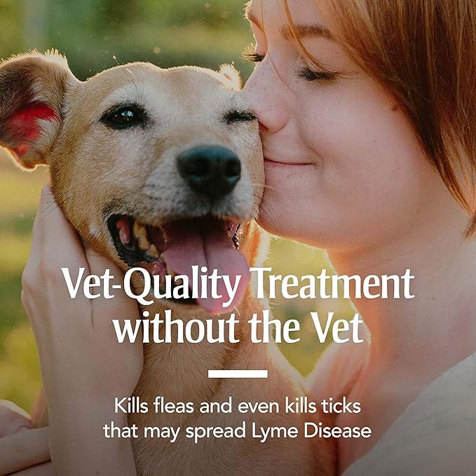 PetArmor Flea & Tick Collar for Dogs, Kills Fleas & Ticks, Long Lasting Protection for 6 Months, Water Resistant, One Size Fits All.
