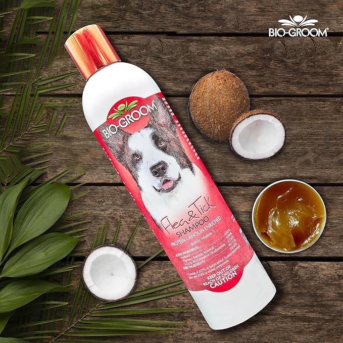 Bio-Groom Flea & Tick Dog Shampoo - Flea and Tick Prevention for Dogs, Cat Flea Treatment, Cruelty-Free, Made in USA, Natural Tick Repellent, Protein-Lanolin Shampoo - 12 fl oz 1-Pack