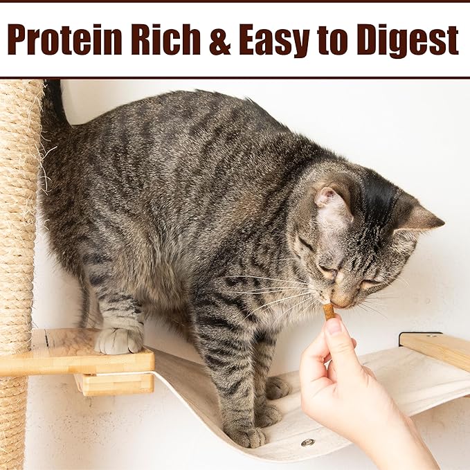 Fieldcrest Farms Nothin’ to Hide Collagen Cat Treats – Crunchy & Creamy Cat Snacks, High-Protein Healthy Treats for Skin, Coat & Joint Support, Salmon Flavor, 3 oz. Bag (Pack of 4)