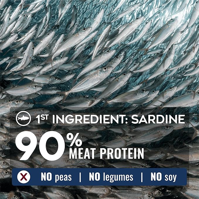 Nature’s Logic Pure Naturals™ 100% Natural Sardine Recipe Synthetic-Free Dry Dog Food, 24 lbs