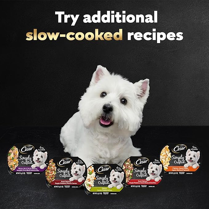Cesar Simply Crafted Adult Wet Dog Food Toppers for Dry Food, Chicken, Carrots, Potatoes & Peas, 1.3 oz Tubs, 10 Count