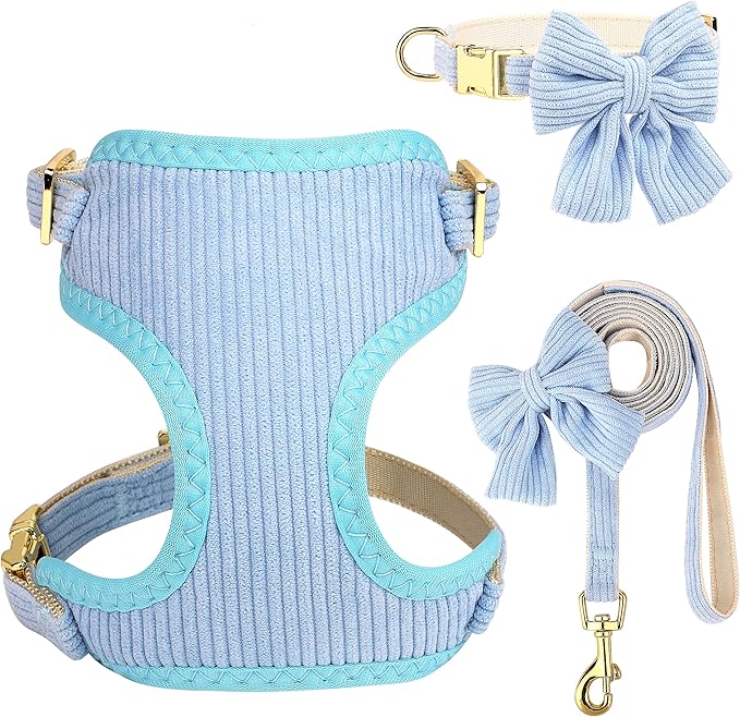 Didog Cute Small Dog Harness Collar and Leash Set with Bowtie, Breathable Soft Mesh Padded Puppy Harness, Dog Harness for Small Dogs Daily Walks Parties, Holiday Gatherings & Gifts, Blue, M