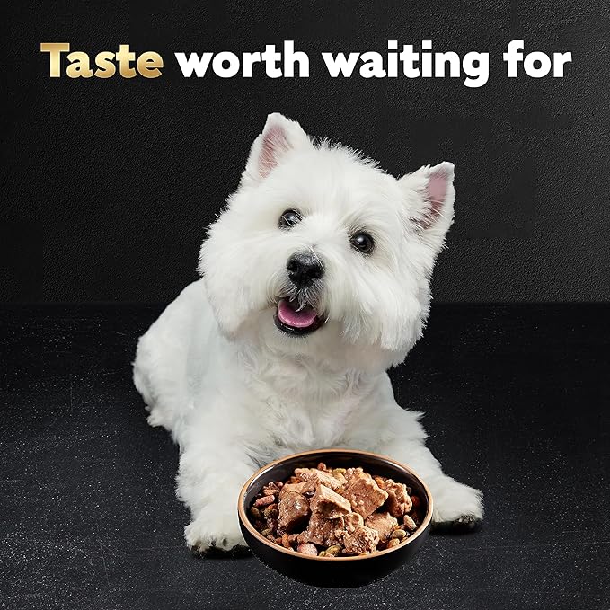 Cesar Loaf in Sauce Wet Dog Food Rotisserie Chicken, Filet Mignon, Angus Beef, and Ham & Egg Flavors Variety Pack, 3.5 oz. Easy Peel Trays (24 Count, Pack of 1)