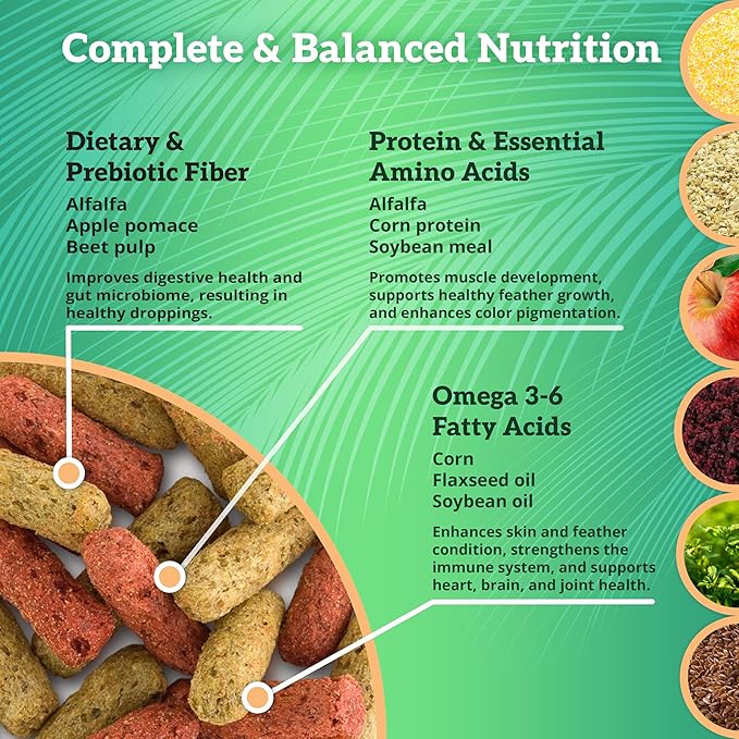 Scenic Mix Jungle Large Parrot Food - 2 lb Bag - 1" Bird Pellets - Complete Nutrition for Macaws, Amazons, Cockatoos, African Grey Parrots & More