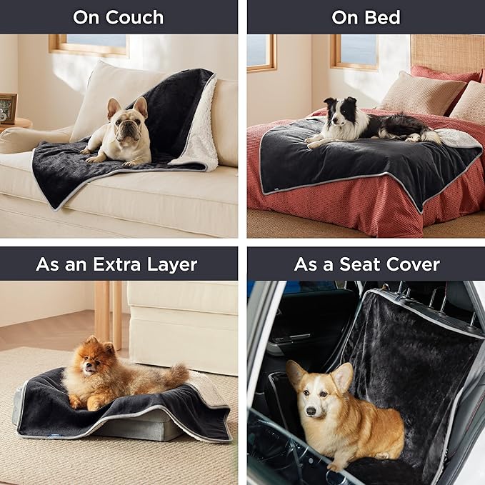 Bedsure Cat Blanket for Indoor Cats - Waterproof Calming Cat Blankets for Couch Protection, Sherpa Fleece Pet Blanket, Soft Plush Reversible Throw Furniture Protector, 40"x30", Black