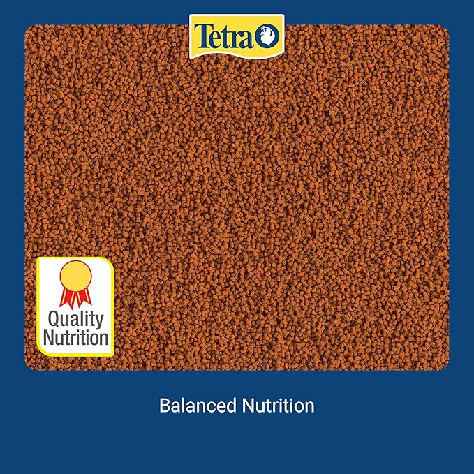 Tetra TetraBetta Floating Mini Pellets (1 Bag), 0.15 oz (77023) (Pack of 2)