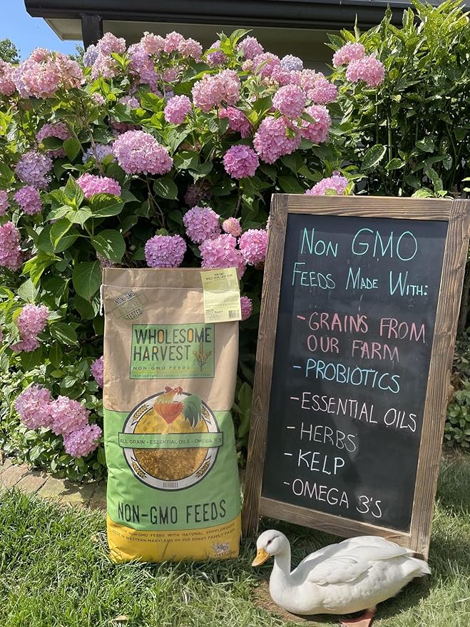 Non-GMO 25 lb Natural Gosling & Duckling Starter Feed - 22% High Protein Complete Bird Feed with Cracked Corn, Soybeans, Vitamins & Probiotics Formula for Healthy Flock Growth