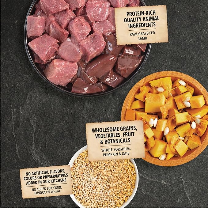 ACANA Wholesome Grains Dry Dog Food Limited Ingredient Lamb & Pumpkin Recipe 22.5lb Bag