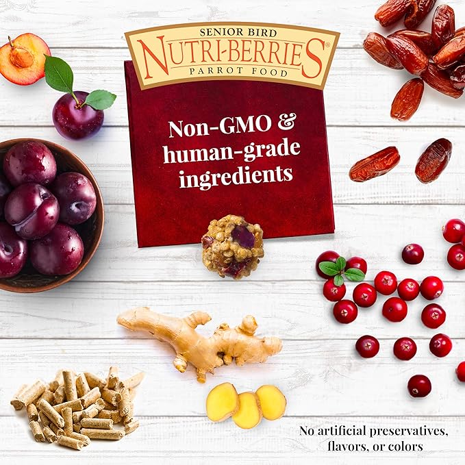 LAFEBER'S Senior Bird Nutri-Berries Pet Bird Food, Made with Non-GMO and Human-Grade Ingredients, for Parakeets & Cockatiels, 10 oz