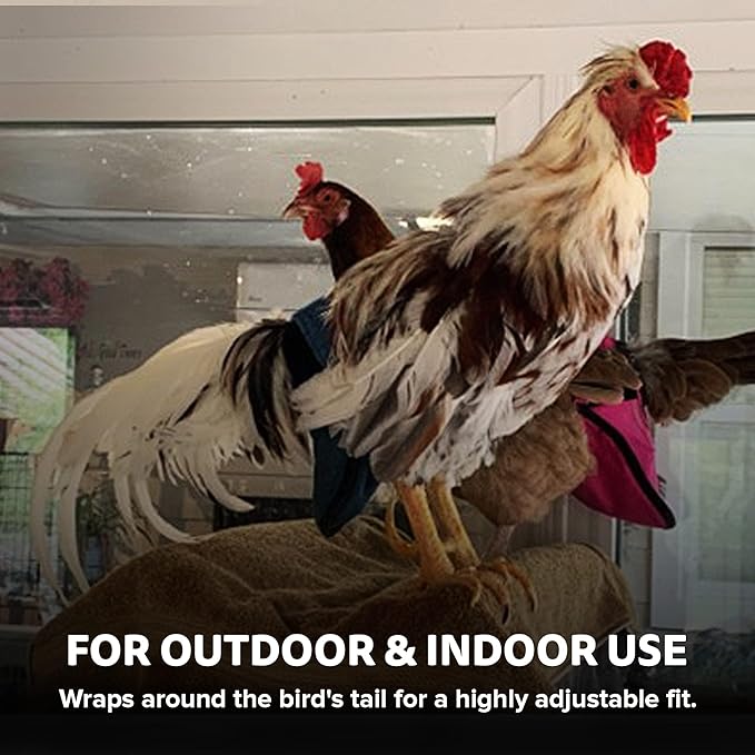 Hen Holster Wrap-Around Bird Diaper & Harness for Hens, Roosters, Ducks, Geese - with Removable Vinyl Liner, Adjustable Fit for Outdoor Adventures & Indoor Use - Easy to wear - XL, Green