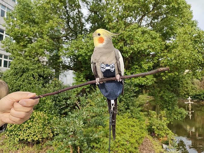 VANFAVORI Bird Diaper Harness Flight Suit Clothes with 80 Inch Flying Leash Rope for Parrots Conure Cockatiel Pet Birds Weight 75-99 Grams，2 Pieces Including Two leashes and Two Cotton Pads