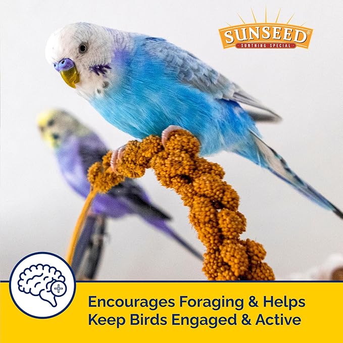 Sunseed Golden Spray Millet Treat for Birds, 12 oz