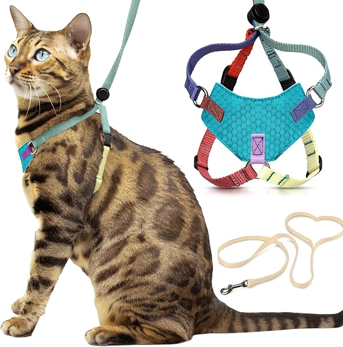 Houdini™ Escape Proof Kitten Harness and Leash Set by OutdoorBengal – Extra Small – Comfy, Adjustable and Lightweight - Houdini Cat Harness Escape Proof for Small Cats + Cat Leash 6ft (Multicolor, XS)