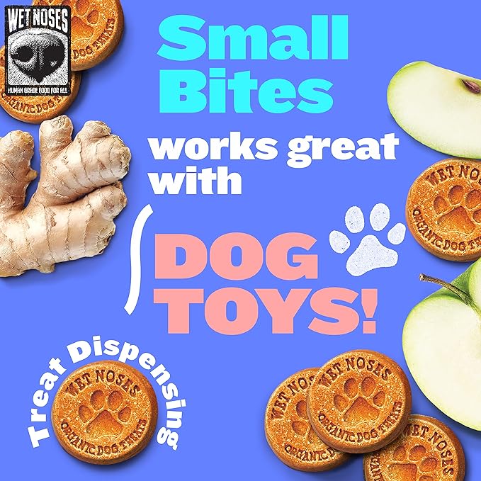 Wet Noses Organic Crunchy Dog Treats Grain Free – All-Natural, Human-Grade, Non-GMO, Healthy Training & Delicious Snacks for Dogs, for All Dog Sizes & Breeds – Apple & Ginger, 14oz (Single Pack)