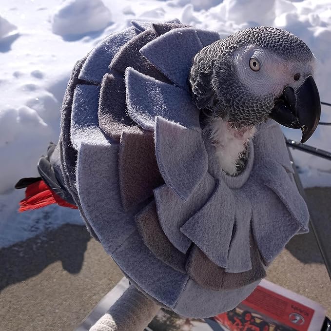 Stiff Insert Cone Bird Collar for African Grey Parrots