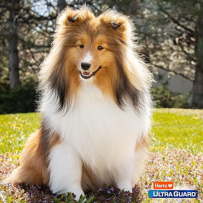 Hartz UltraGuard Pro Flea & Tick Topical Dogs & Puppies Treatment & Prevention, 6 Months, 5-14 lbs
