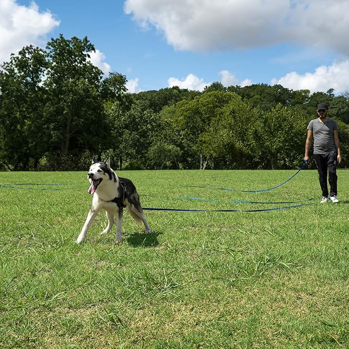 Hi Kiss Dog/Puppy Obedience Recall Training Agility Lead - 15ft 20ft 30ft 50ft 100ft Training Leash - Great for Training, Play, Camping, or Backyard (20 Feet, Green)