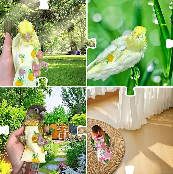 2Pcs Bird Diapers Bird Harness Flight Suits Diapers with 2Pcs 80 Inch Flying Leash Parrot Nappy Pigeon Pants Urine Wet Suit for Cockatiel Conure Macaw Budgies Parakeet-Apple&Pineapple