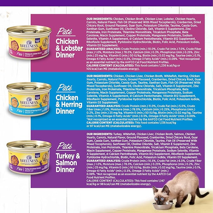 Wellness Complete Health Pate Adult Wet Cat Food,Natural,Protein-Rich,Grain-Free,3 Ounce,(Seafood Favorites Variety Pack),(Pack of 48)