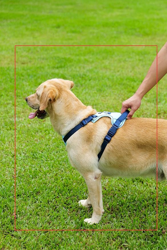 No Pull Dog Harness Leash and Collar Set, Soft Adjustable Dogs Vest Reflective and Comfortable Handle Blue Large