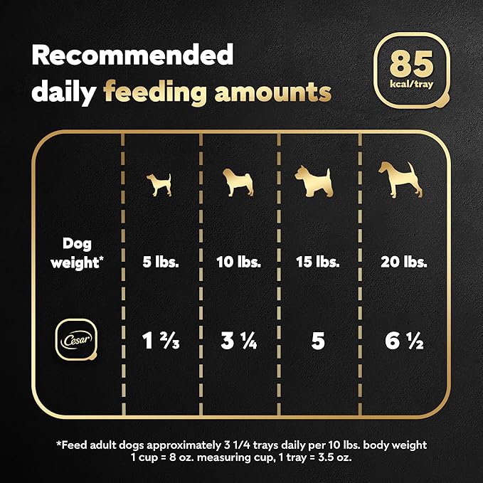 Cesar Filets in Gravy, Adult Wet Dog Food, Rotisserie Chicken Flavor, Wet Food for Dogs, 3.5 oz Trays, 24 Count (Pack of 2)