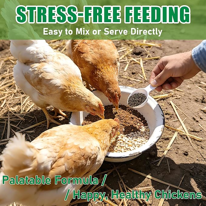 Natural Poultry Wellness Powder, Chili Flavor - Easy-Mix Feed Supplement for Chickens & Birds, Egg-Friendly Daily Support, 1.2 lb Resealable Pouch