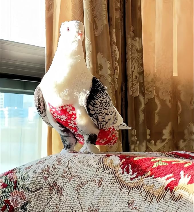 2 Pcs Bird Diapers Bird Harness Flight Suits Diapers with 80in Flying Leash Reusable Parrot Nappy with Waterproof Inner Layer for Cockatiel Budgie Conure Parakeet Lovebird-Red&Dark Blue