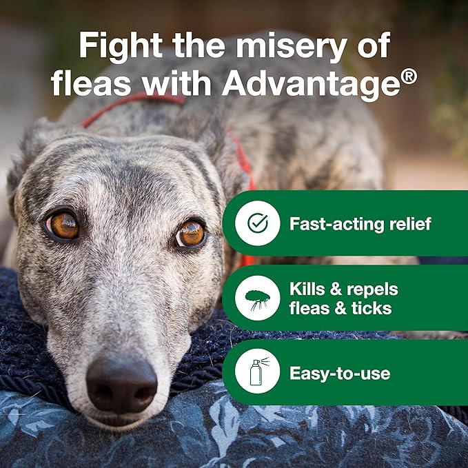 Advantage Dog Flea Treatment Spray | Kills Fleas & Ticks | Dog Flea Spray | 8 oz.