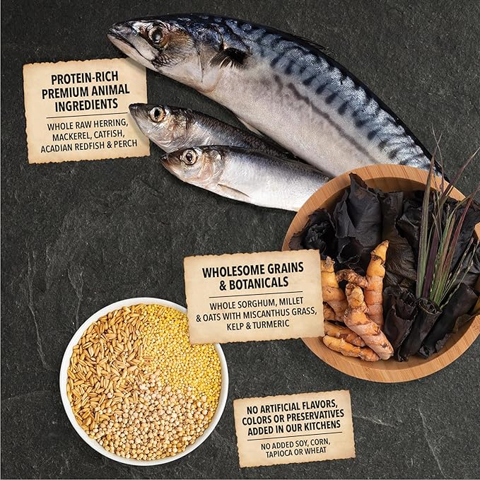 ACANA Wholesome Grains Dry Dog Food Sea to Stream Saltwater Fish Recipe 4lb Bag