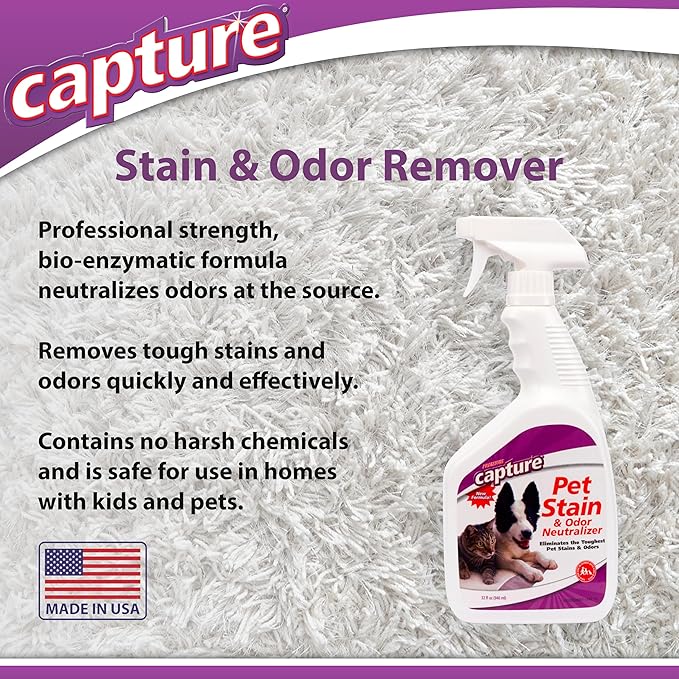 Capture Pet Stain & Odor Remover - Enzyme Pet Odor Eliminator for Home, Carpet Stain Remover for Cats & Dog Pee, Cat Urine Destroyer, Carpet Cleaner Spray - 32oz Portable Spray Bottle (2 Pack)