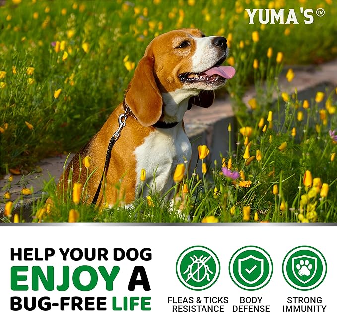Flea and Tick Prevention for Dogs Chewables - 170 Treats - Natural Dog Flea and Tick Treatment Chewable Supplement - Oral Pills - All Breeds & Ages - Soft Chews - Made in USA - Bacon Flavor