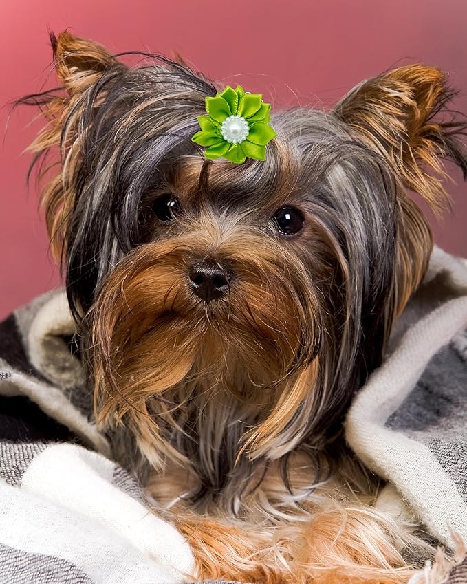 PET SHOW 20 Pack/10 Pairs Flower Small Dogs Hair Bows with Rubber Bands for Small Dogs Cat Puppy Topknot Party Birthday Grooming Hair Accessories