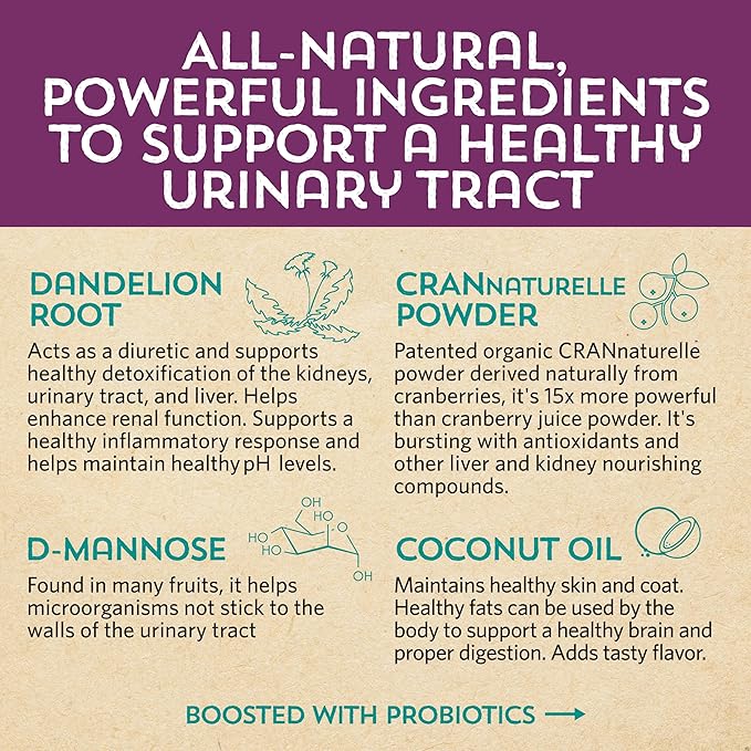 Meowbiotics Kitty P. Freely Cat Urinary Supplement, Cranberry for UTI & Kidney Support Powder Probiotics for Cats, Made in USA (30 Days)