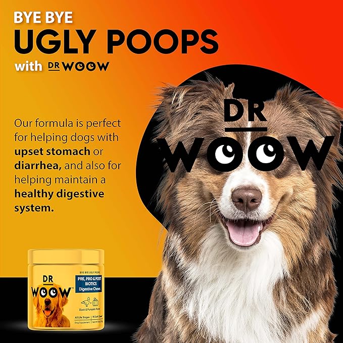 Probiotics Supplements for Dogs Soft Chews (90 CT) – Digestive Support + Gut Balance & Healthy Stool Support – Probiotics + Digestive Enzymes – Duck & Pumpkin Flavor – Made in USA