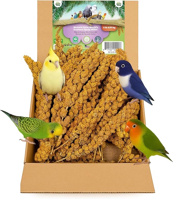 Nemeth Farms–Natural Sun Dried Millet Spray for Pet Birds–Bulk Parrot Seed Treats and Parrot Food–Natural Non GMO Millet Spray–Cockatiels Lovebirds Parakeet 2 lbs.