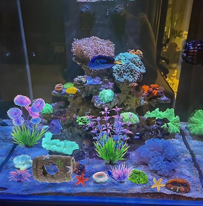 9Pcs Tank Accessories for Beta Fish, Medium & Small Decorations, Goldfish Tank Decor