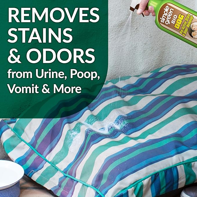 Bio Active Stain & Odor Remover for Pet & Carpet- Pet & People Safe - 32oz Spray