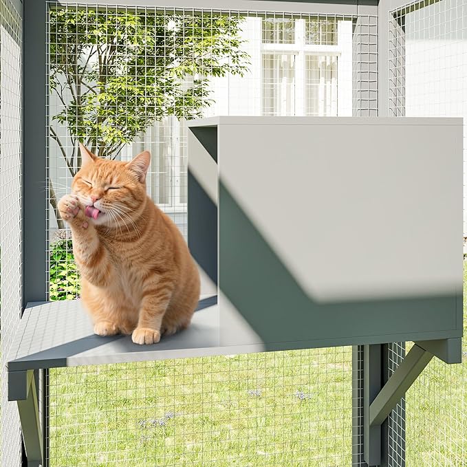 64.7 Inch Catio Outdoor Cat Enclosure, Large Cat House for Outdoor Cats with Enhanced Security Structure, Outside Cat Patio Cattery Weatherproof for Multiple Indoor Outdoor Cats, Grey