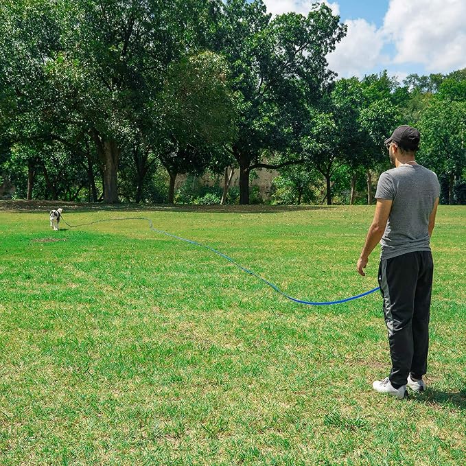 Hi Kiss Dog/Puppy Obedience Recall Training Agility Lead - 15ft 20ft 30ft 50ft 100ft Leash - Great for Play, Camping, or Backyard - Black