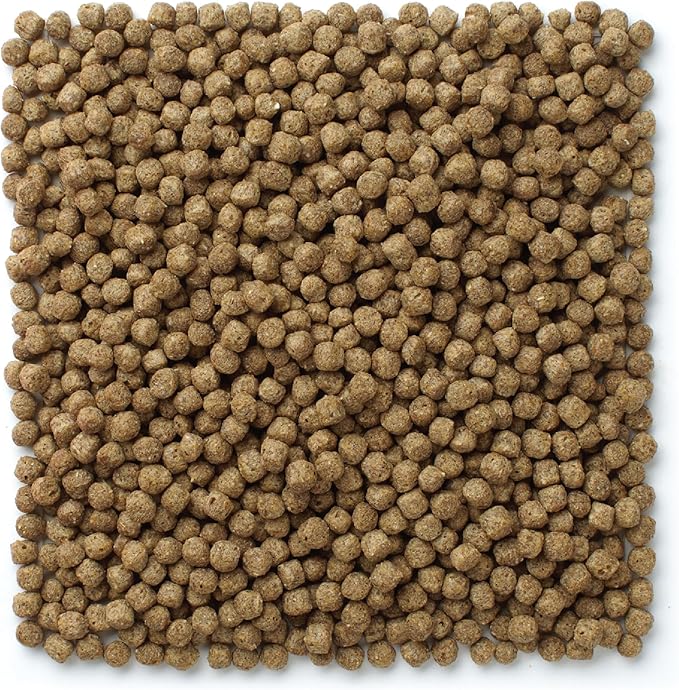 Mazuri Koi Floating Pond Nuggets, Floating Koi Fish Food for Ponds (3.5 LB)