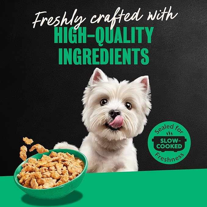 Cesar Filets in Gravy Adult Wet Dog Food Turkey Recipe, 3.5 oz. Easy Peel Dog Food Tray, 24 Count (Pack of 1)