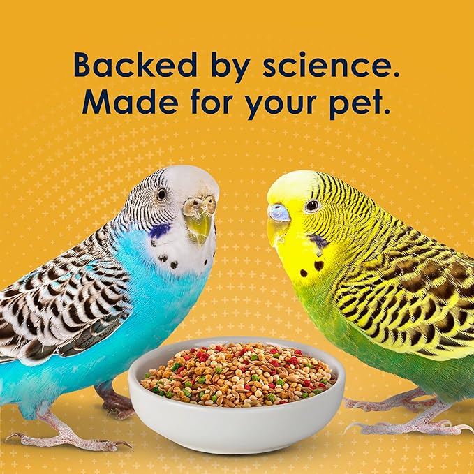 Kaytee Forti-Diet Pro Health Egg-Cite Nourish+Protect Parakeet,Supports Breeding and Molting,Nutrition Backed by Science,Digestive Health,5 pounds,(Pack of 2)