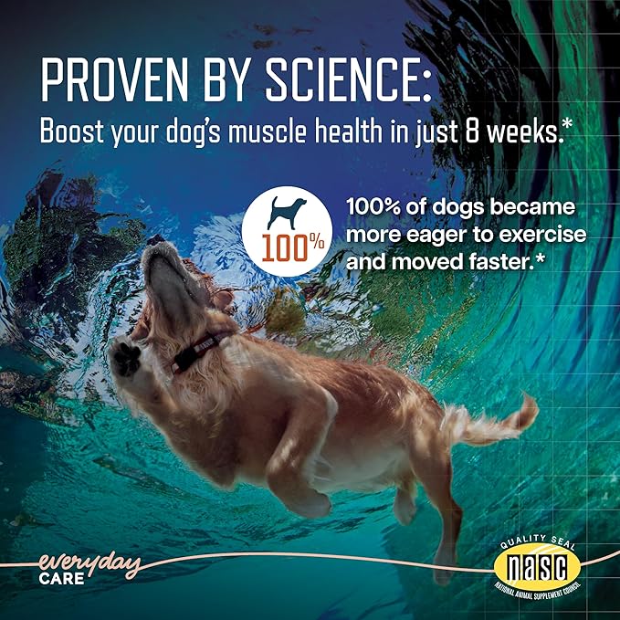 Virbac URSOLYX™ Soft Chews for Dogs | Muscle Health Support for Senior, Active or Recovering Dogs, Small up to 30lbs | 60 Count 2- Month Supply