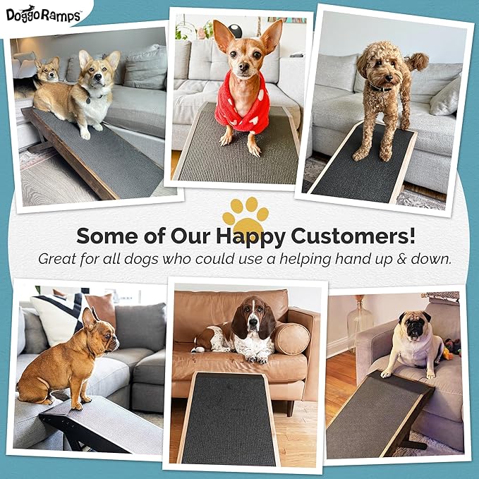 DoggoRamps Dog Ramp for Couch - Furniture Quality Solid Maple - with Anti-Slip Grip & Landing Platform - Adjustable Dog Ramp 14" to 21" - Couch Ramp for Dogs up to 150lbs - Made in North America