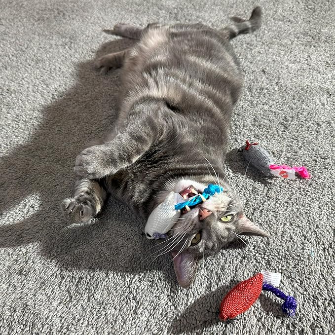 SPOT Burlap Mice Cat Toys, Interactive & Durable Catnip Toys for Indoor Cats & Kittens, Perfect for Hunting & Play, 3-Inch, Assorted Colors, 3 Pieces